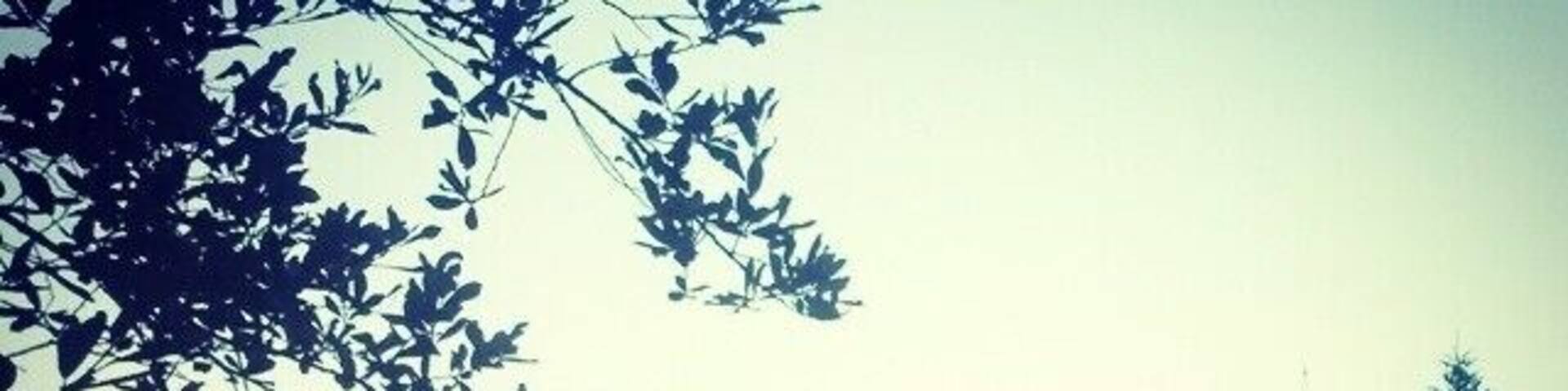 é um dos mais antigos Mosteiros da Europa, uma vez que, segundo algumas teorias, a sua fundação remonta a meados do século VI.