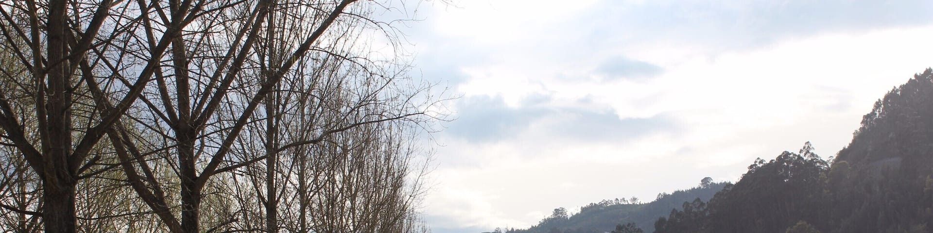 Nas margens do Mondego.