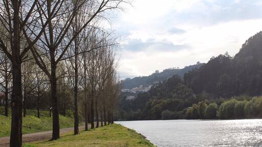 Nas margens do Mondego.