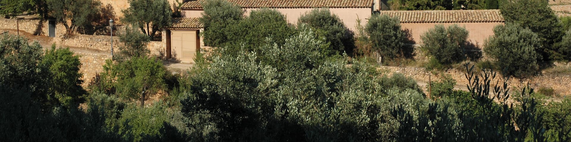 It is a nice village placed in the Somontano region, close to the Pyrenees mountains.