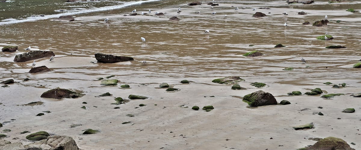 A rocky shoreline with waves gently lapping at the shore.