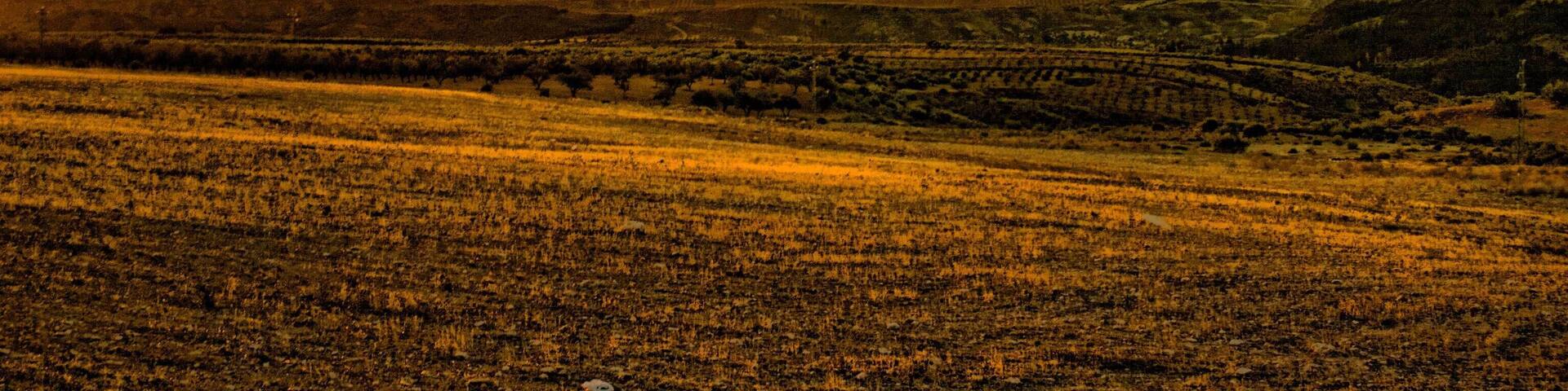 Amanezer en Otoño 3