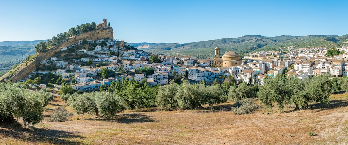 A town nestled on a hillside with olive groves and a prominent church.