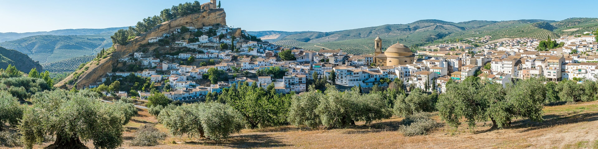 A town nestled on a hillside with olive groves and a prominent church.