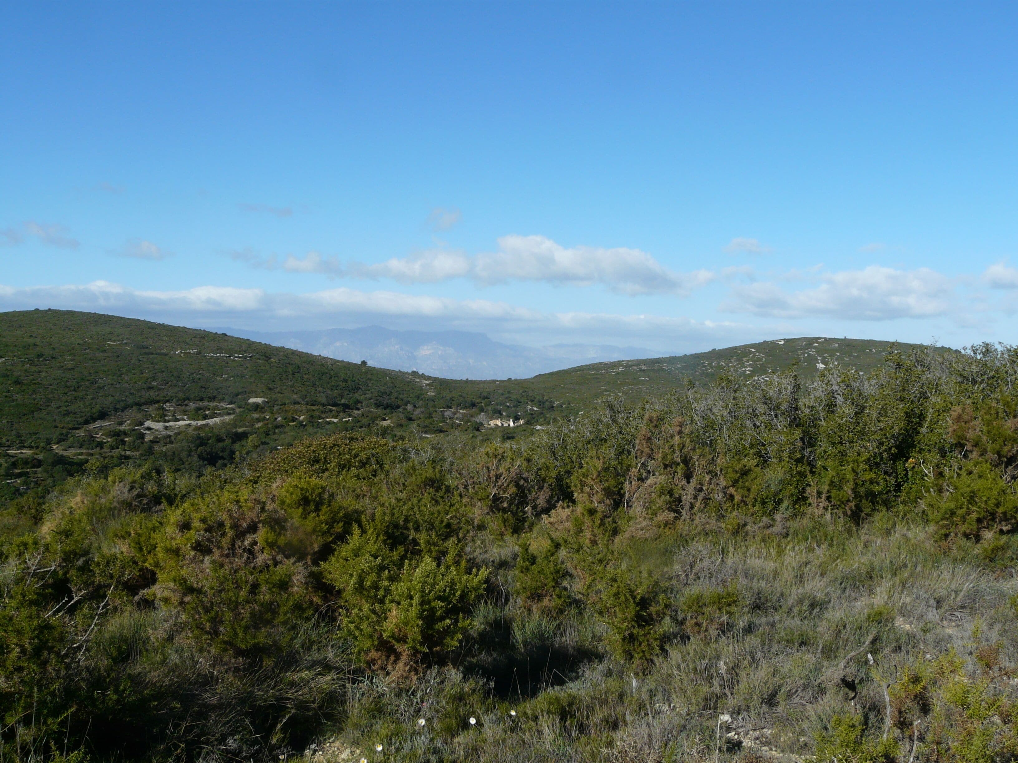 This is a a photo of a natural area in Catalonia, Spain, with id: