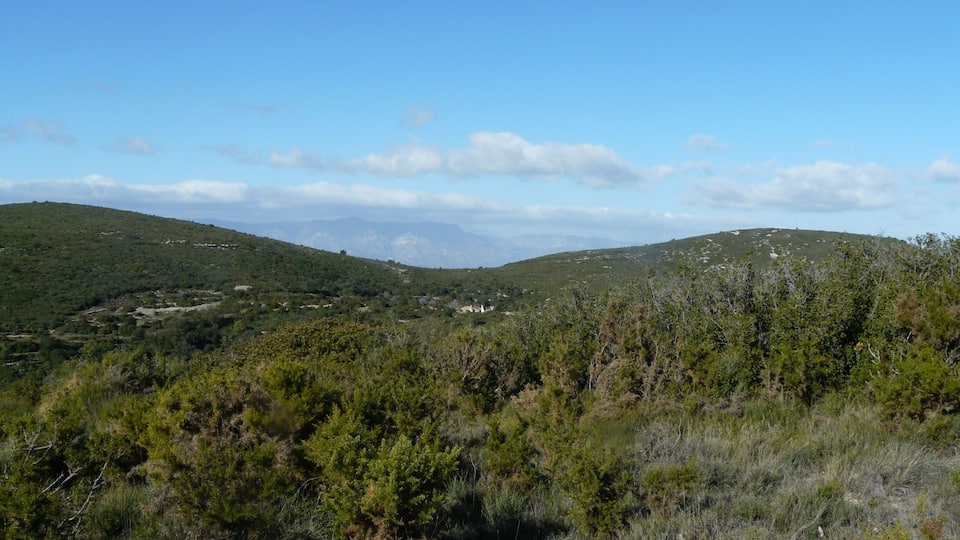 A mountainous landscape with dense green vegetation and distant hills under a clear blue sky.
