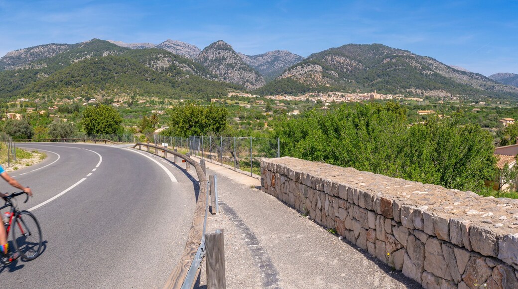 View of cyclist near hilltop town of Caimari and vineyard, Majorca, Balearic Islands, Spain, Mediterranean, Europe