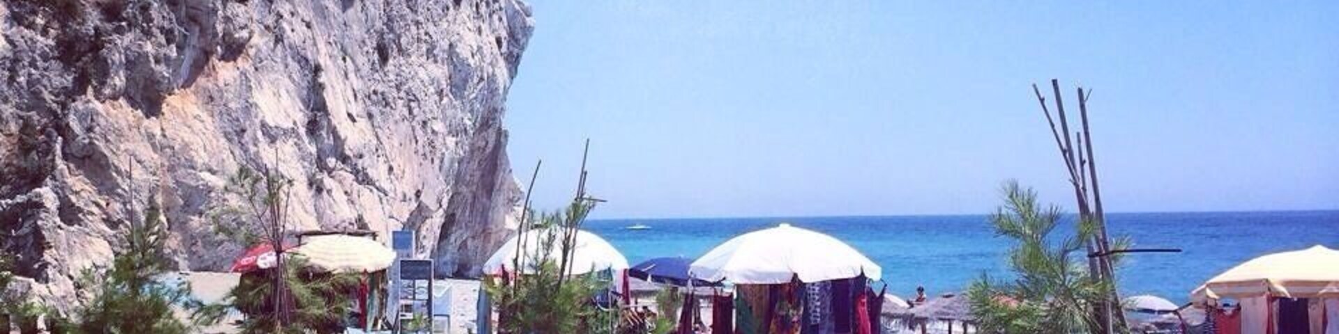 Una playa con sombrillas y plantas en macetas.