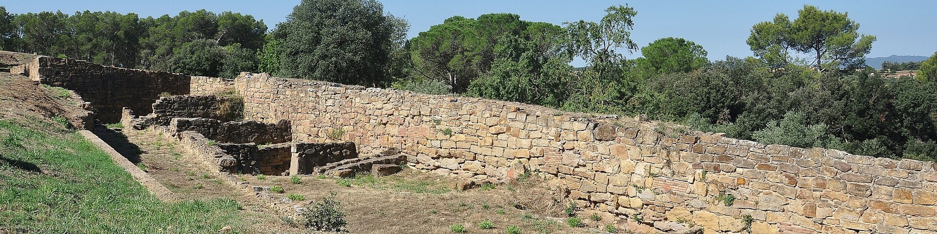 Ancient stone ruins with a clear sky and green trees in the background.