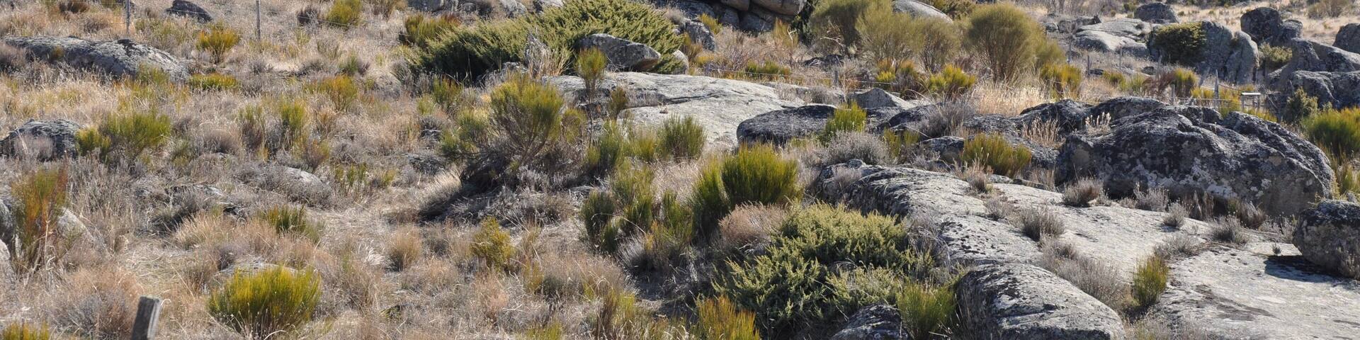 This is a photography of a Site of Community Importance in Spain with the ID: