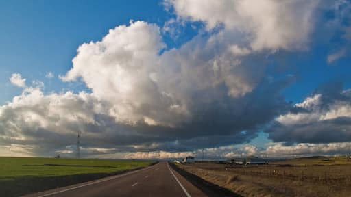 En la carretera Valverde de Leganés a Olivenza (Badajoz).