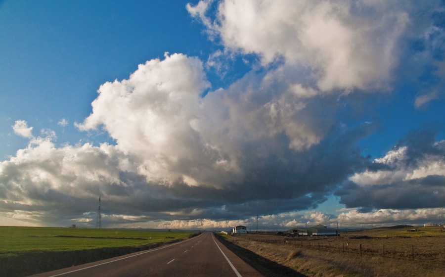 En la carretera Valverde de Leganés a Olivenza (Badajoz).