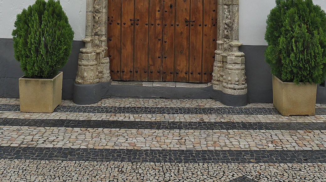 La importante portada manuelina de Olivenza, Badajoz. Data del reinado de Manuel I de Portugal (1495-1521), destacando los escudos de Portugal y Olivenza.