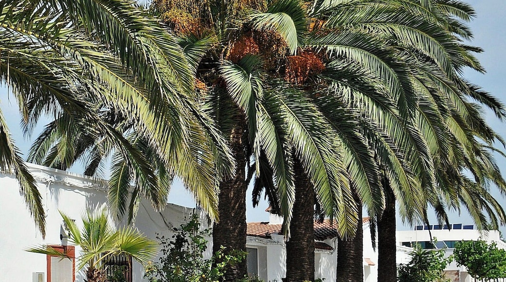 calles de poblenou-2011