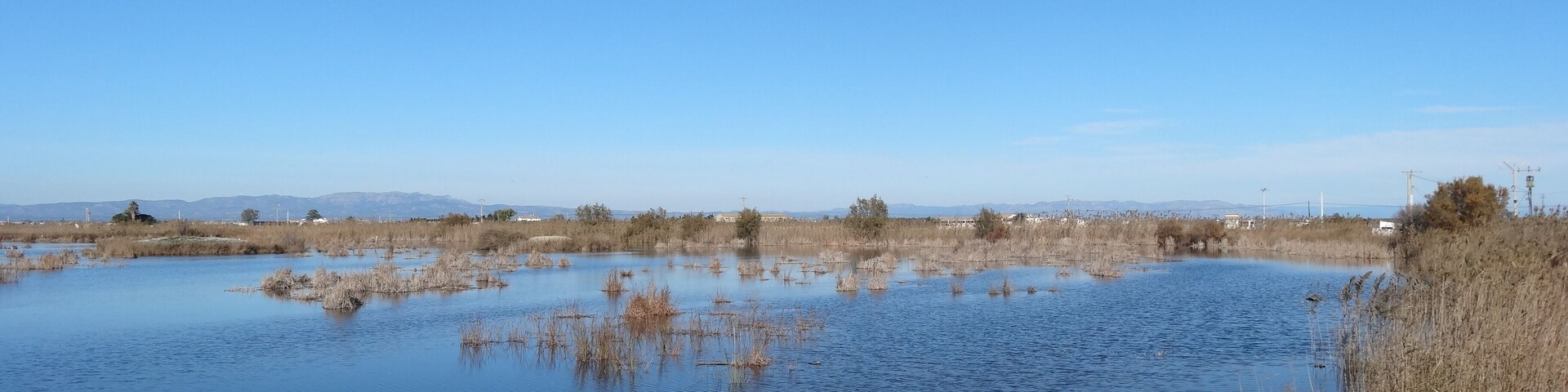 Llacuna de Riet Vell des de l'observatori, Delta de l'Ebre (desembre 2012)