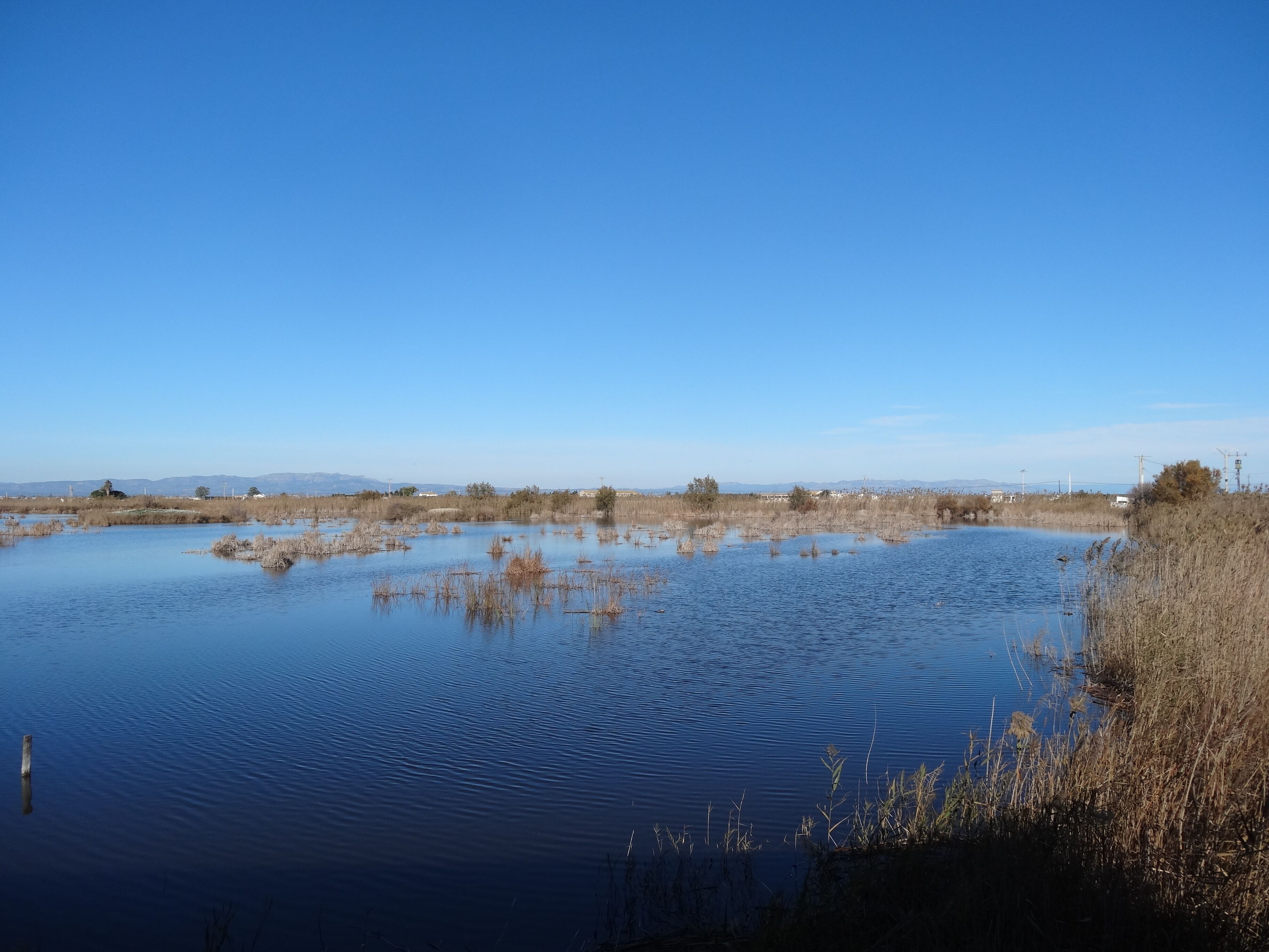 A calm lake surrounded by dry reeds and sparse vegetation under a clear blue sky.