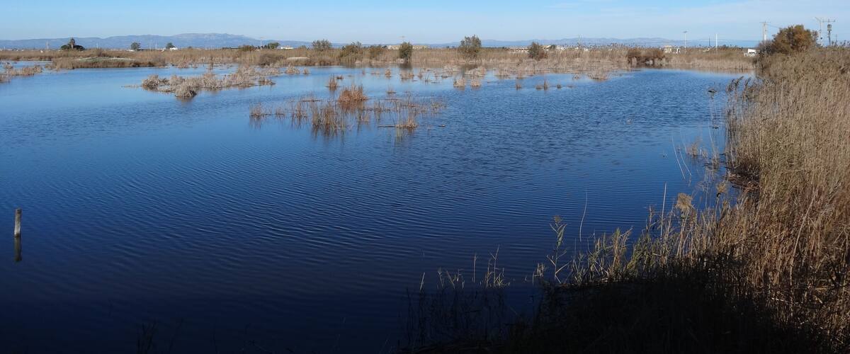 A calm lake surrounded by dry reeds and sparse vegetation under a clear blue sky.