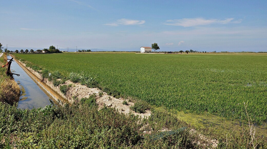 parque natural del delta-2011