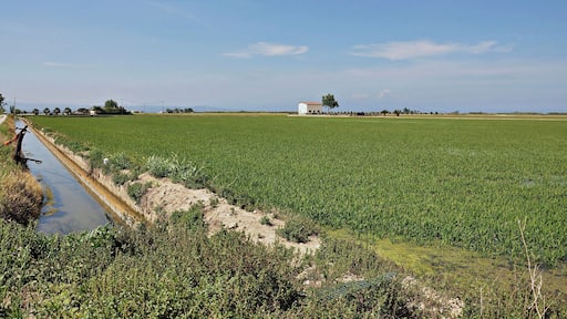 parque natural del delta-2011