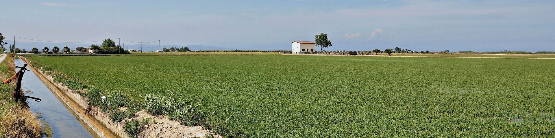 parque natural del delta-2011