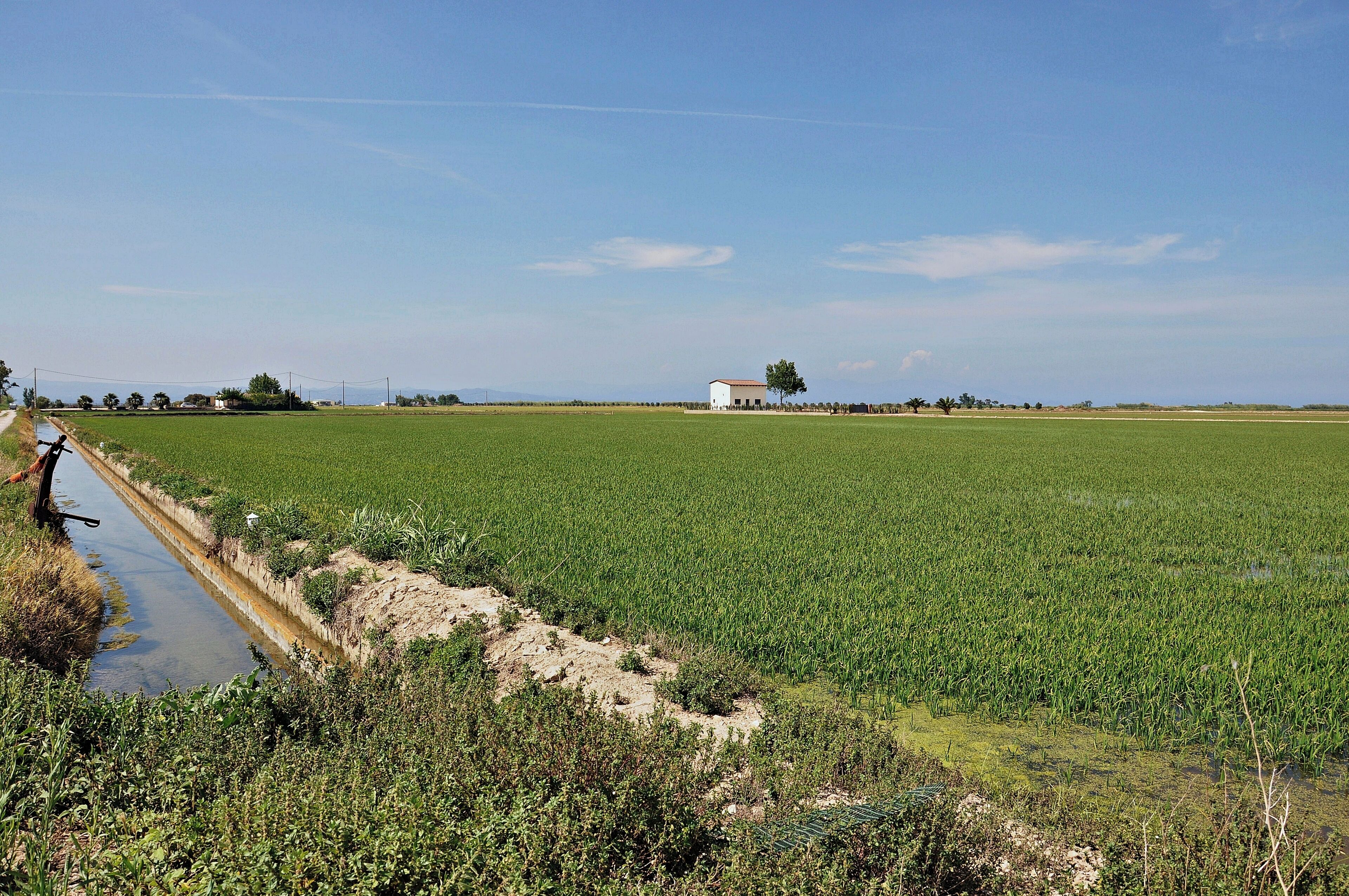 A vast green field with a narrow water channel running through it, a white building in the distance, and a clear blue sky.