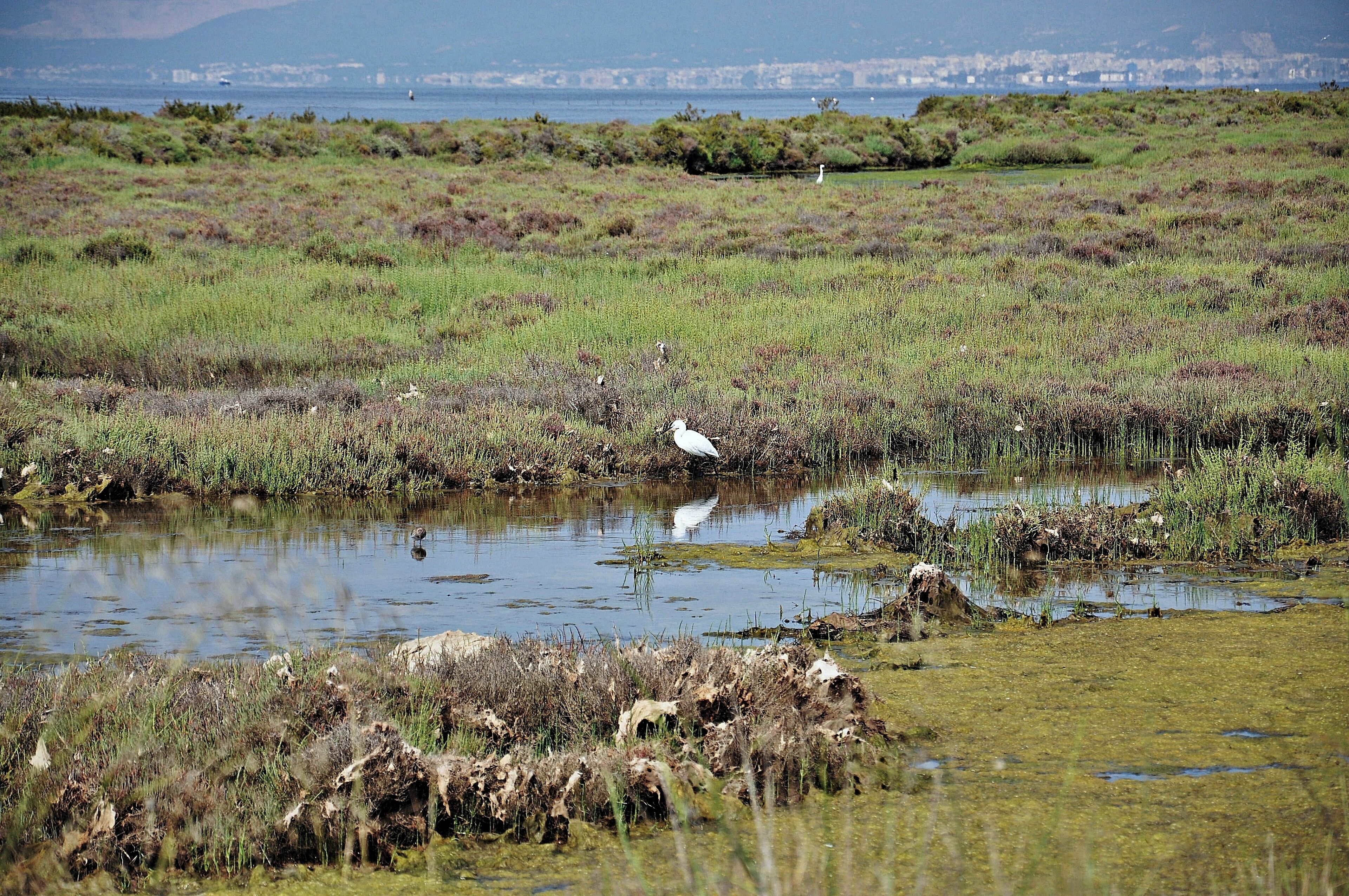 parque natural del delta-2011