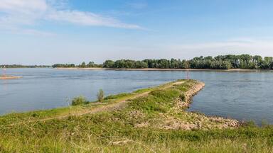 Landscape and river Rhein at the grinder tower Rees North Rhine-Westphalia Germany