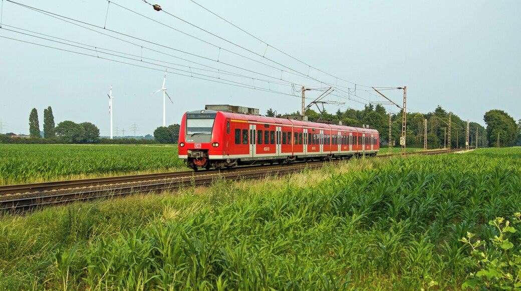 Personenvervoer op de lijn naar Emmerich. Tijdens de spits zorgt voor veel variatie. Als versterkingsrit rijdt DB 425 536 als RB35 naar Emmerich. Hij vlak voor Haldern.