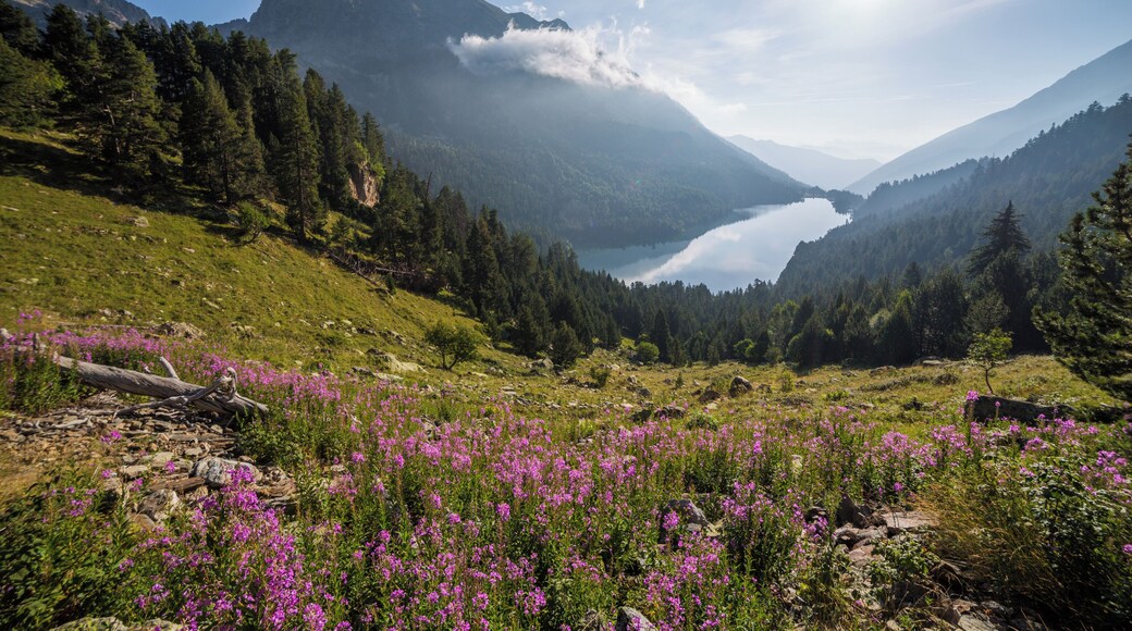 Sant Maurici lake in Aigüestortes i Estany de Sant Maurici National Park, Catalonia, Spain.