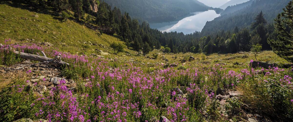 Sant Maurici lake in Aigüestortes i Estany de Sant Maurici National Park, Catalonia, Spain.