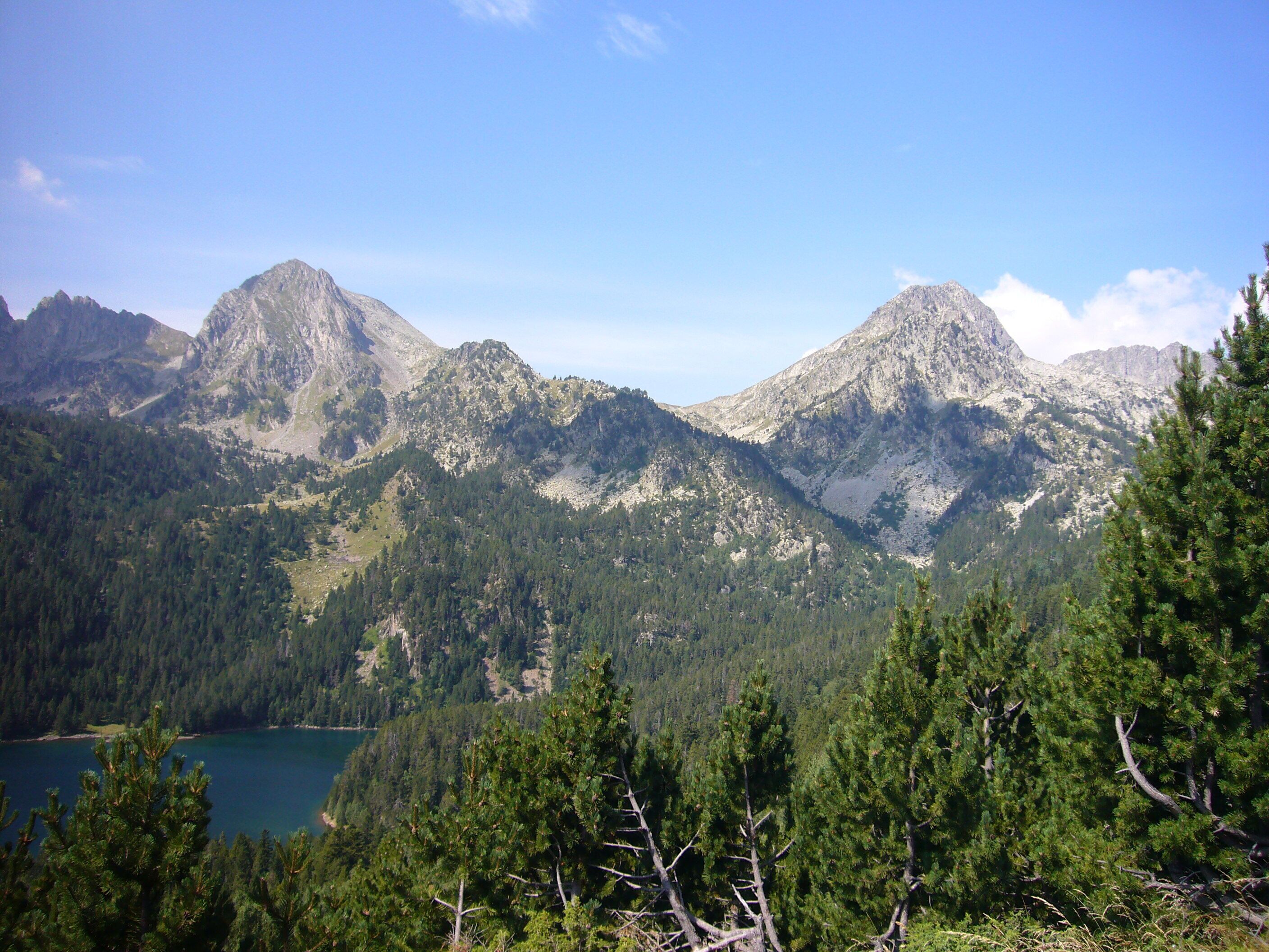 A mountainous landscape with a lake and dense forest.