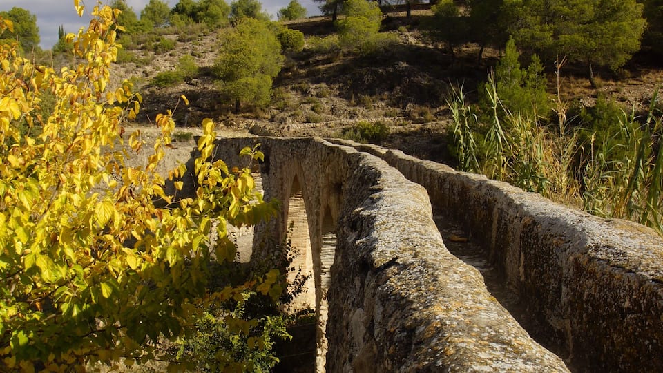 A stone bridge with a rustic appearance, surrounded by greenery and trees.
