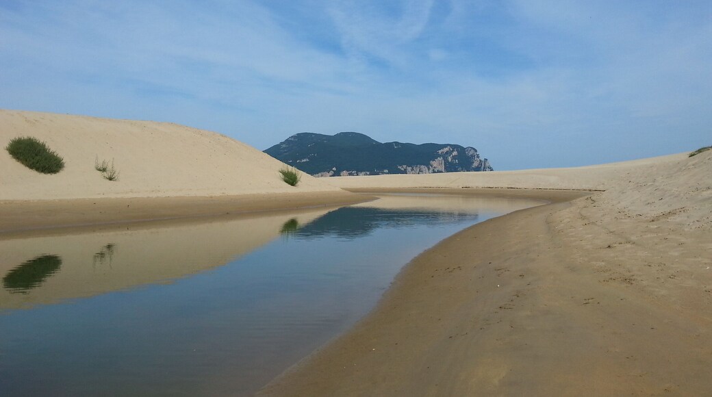 Where the sand meet up the blue sky with a fine line