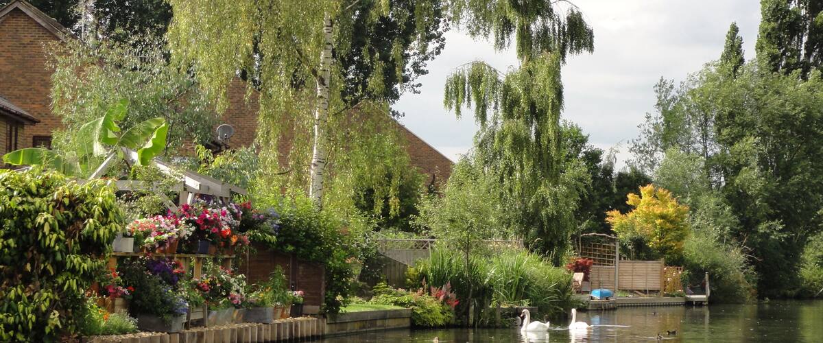 A calm river with swans, lush greenery, and a brick house with a satellite dish.