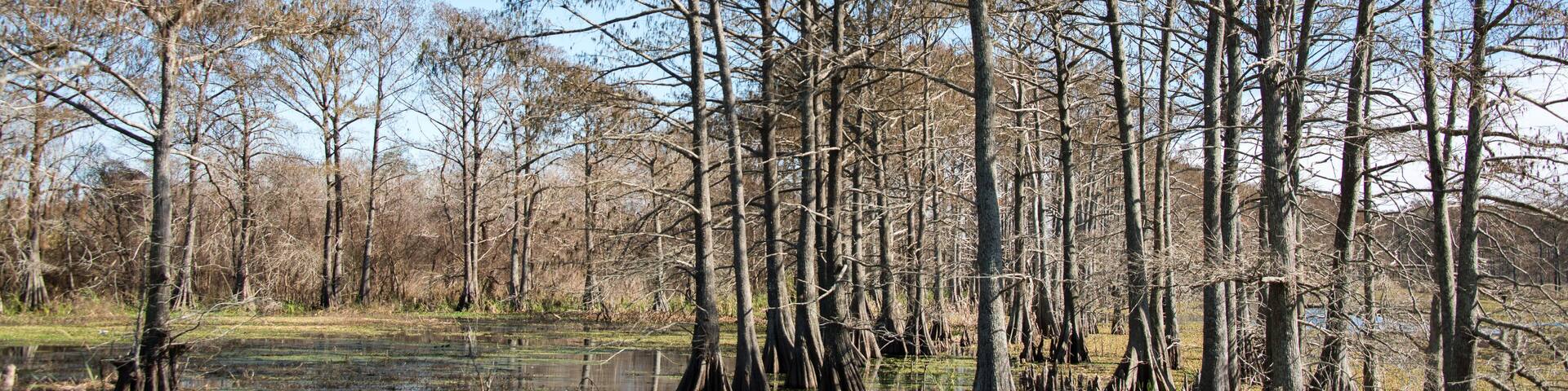 Trinity River Island