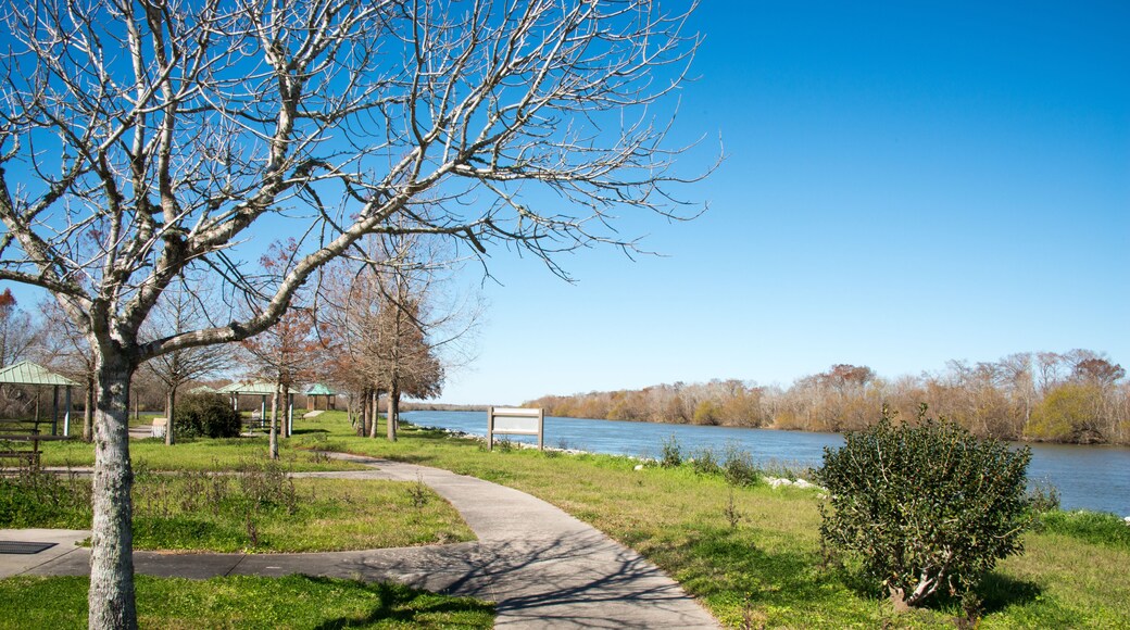 Trinity River Island