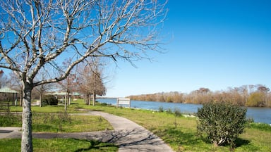 Trinity River Island