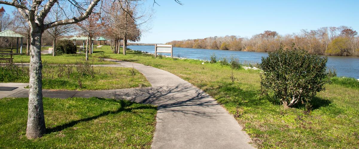 A park with a walking path, a tree, and a river.