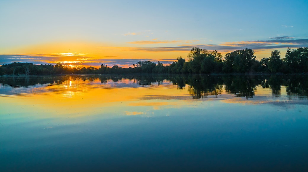 Ein ruhiger See bei Sonnenuntergang, mit Bäumen, die den Himmel spiegeln.