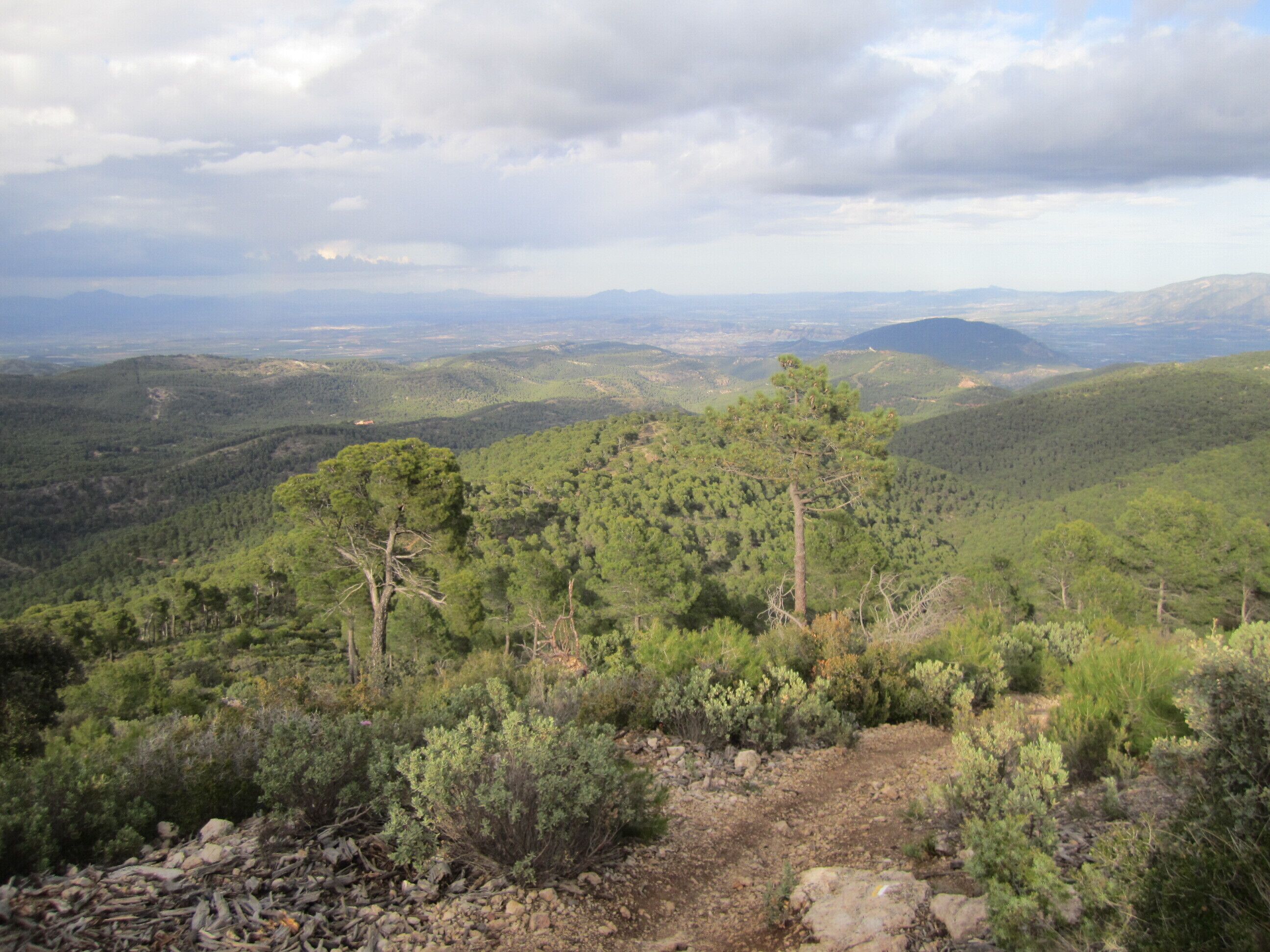 2011-04-22 Parque natural de la Sierra de Espuña
