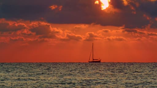 This was such a cute little town in the south of Spain, with a beautiful beach with sunrises definitely worth waking up for! The restaurants on the beach front are lovely with nice sea food! 🥘 😍