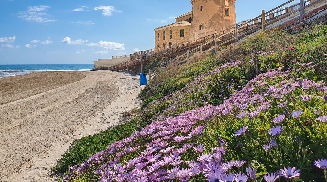 Pilar de la Horadada