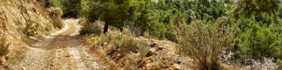 El Cabeço al fondo, tomando el camino de la Serra de Almaens. (Alacant)