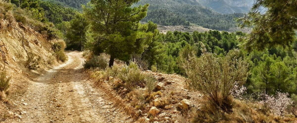 El Cabeço al fondo, tomando el camino de la Serra de Almaens. (Alacant)