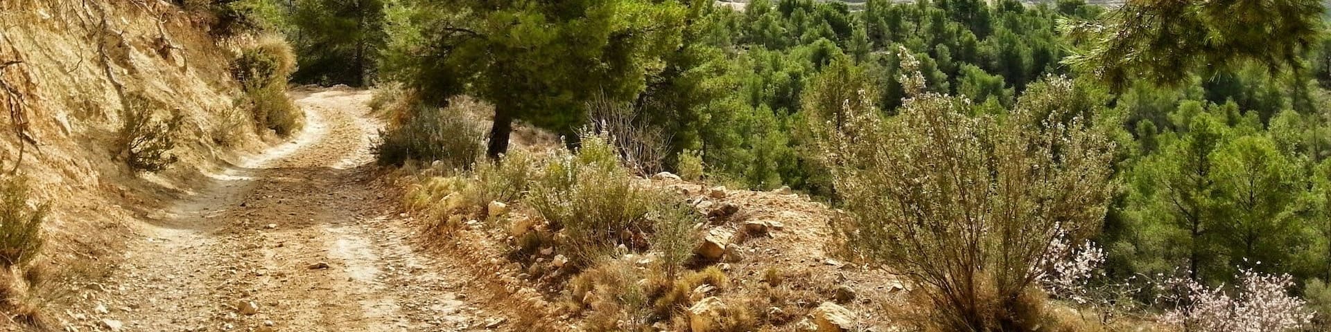 El Cabeço al fondo, tomando el camino de la Serra de Almaens. (Alacant)
