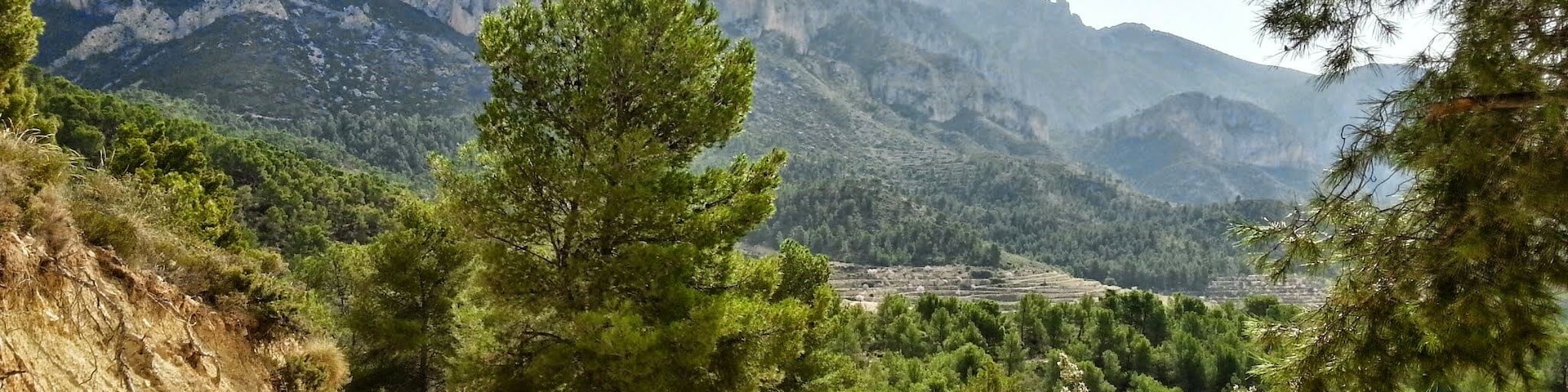 El Cabeço al fondo, tomando el camino de la Serra de Almaens. (Alacant)