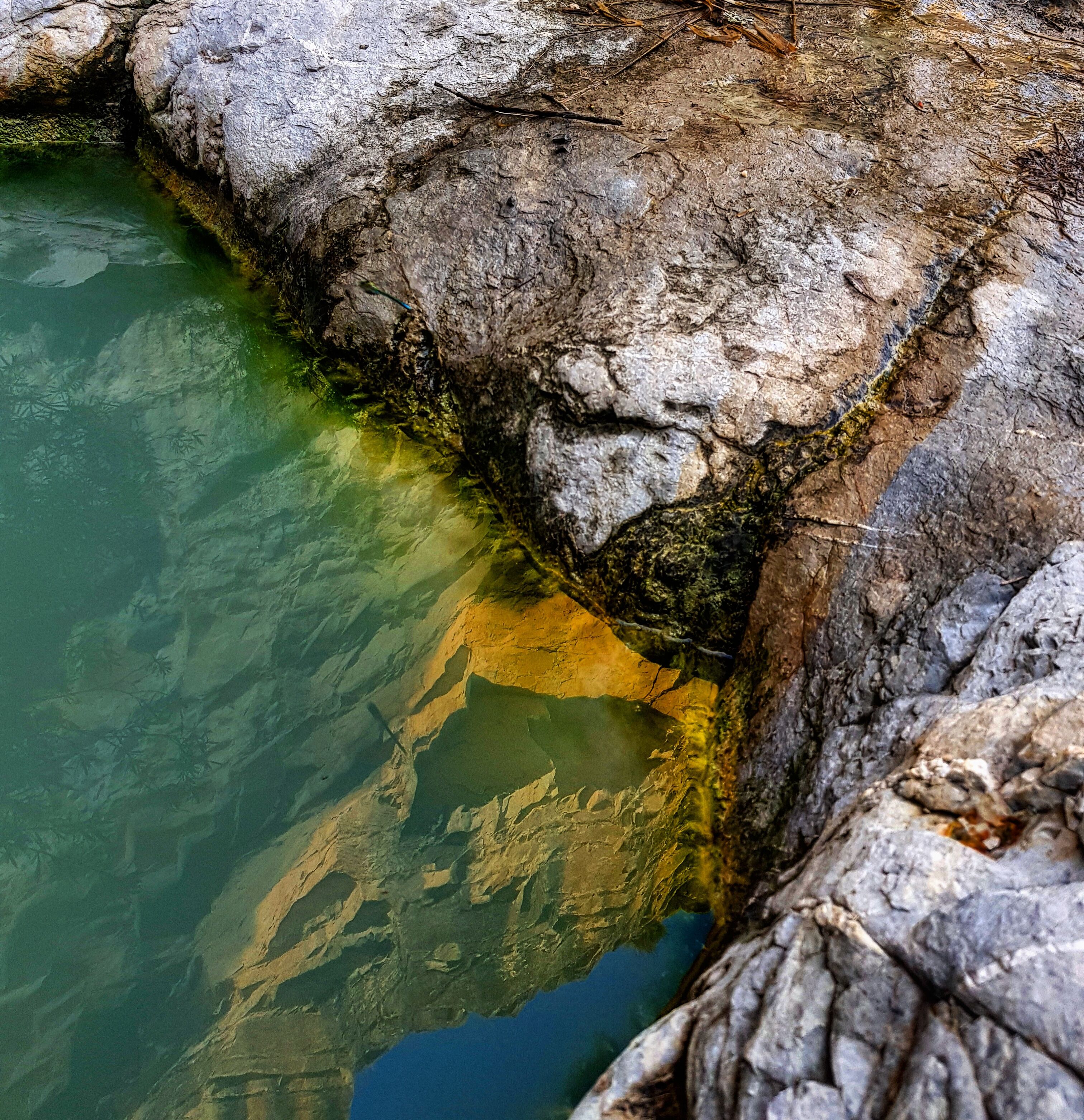 Salt 

#swingpiano #nature #nature2019 #forest #naturephotography #reflection #reflections