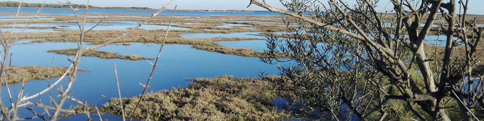 This is a photography of a Site of Community Importance in Spain with the ID: