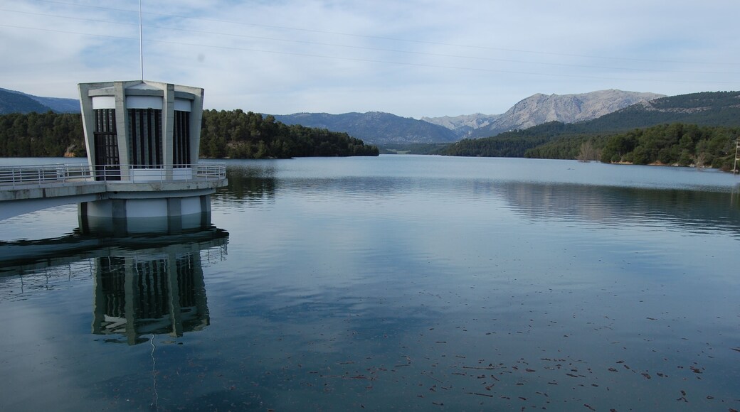PANTANO AL 100 POR 100