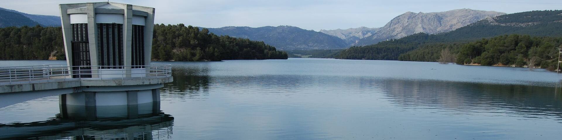 PANTANO AL 100 POR 100